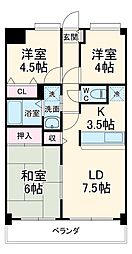 セザール南行徳 505