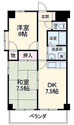 サニーコート平和 501