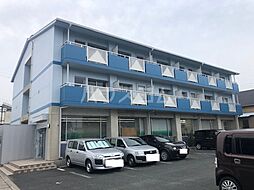 ライフコート 3A