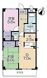 鴻巣市雷電1丁目