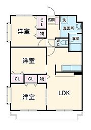 エヴァーグリーン 301