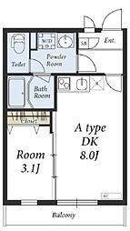 リブリ・シェルドニー 301