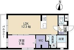 ライム海老塚 305