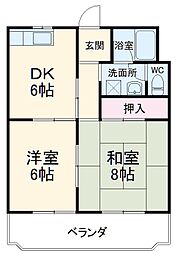 サンフラワーII 305