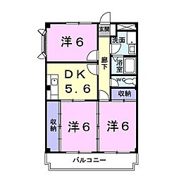 サンマリッチ 205