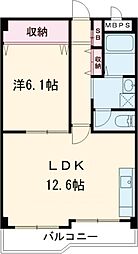 桂グランドハイツ