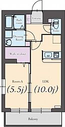 エバーグリーン 104