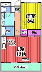 マスターズエル綾園20 504