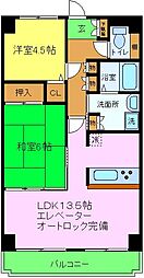 ルピナス泉大津 506