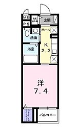 シェトラール 302