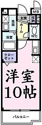 プリムローズ　II 203