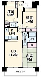 クリサンテーム妙典II 307