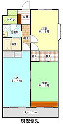 ビューしじみの森