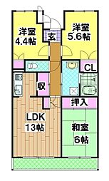 ヴェルドミール泉大津 505