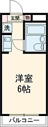シャトレーアサミ 202