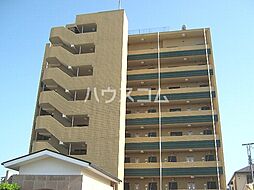 ゴールドウィン湘南 704