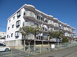 ロゼ湘南 107