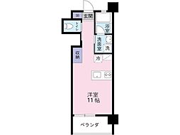 ＫＵＲＡＳＳＯ　ＳＵＮＲＩＳＥ 202