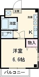 ペールライム 101