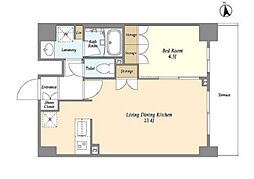 ＯＲＳＵＳ　ＵＭＥＪＩＭＡ