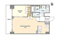 ＯＲＳＵＳ　ＵＭＥＪＩＭＡ