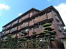 エクセレント丸太