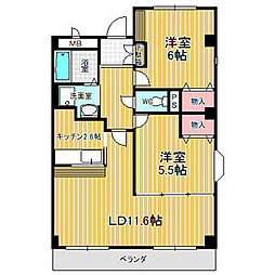 ブラウベルグ 301