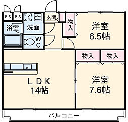 カテドラール柱曙 203