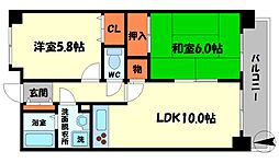 グレイシィーＫ・Ｙ