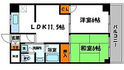 エバーグリーン旭