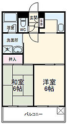 グローリア初穂大和 306