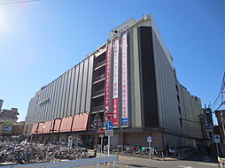 シャルール仙波 302