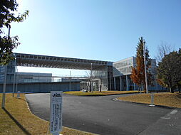越谷市大字三野宮