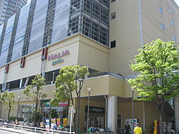 クレイノオリーブハウス　ネオ 304