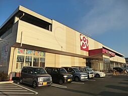 Ｎｉｄ　ｄｅｓ　ａｎｇｅｓ 301