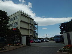 リーフシティ市川ザ・タワー 1105