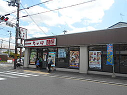 ソル・クメリアーナ 302