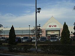 三春町高台の家 1