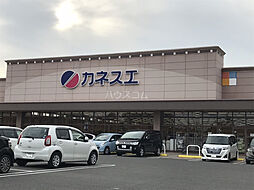 ベル　ドミィール 701