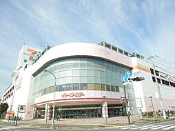 レオネクストラ　プラクミーヌII 302