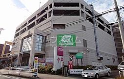ライオンズ茅ヶ崎ザ・アイランズ　1街区 717