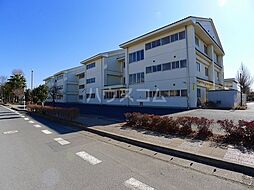 ザ・ガーデンテラス尾曳町 305