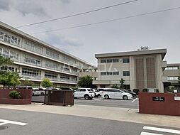 スターターマンション緑町II 102