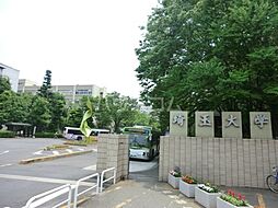さいたま市桜区大字下大久保