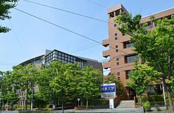 衣笠ハイツ司 103