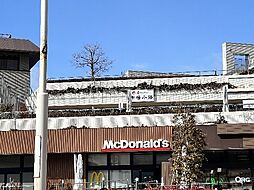 シチクハイネス 302