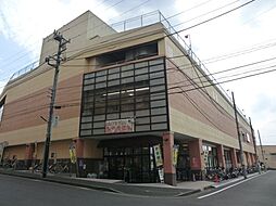 エスペランサ第2十日市場 401