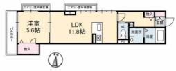 広島市佐伯区楽々園５丁目