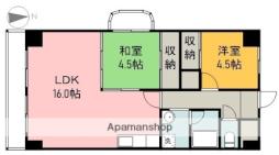 パラッシオ国泰寺 1104